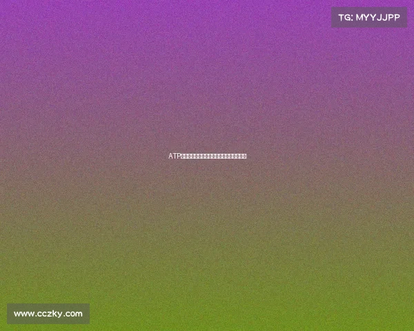 ATP年终总决赛激战正酣新星崛起挑战传统霸权